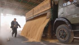 В среду в интервенционный фонд РФ закупили более 1,7 тыс. тонн зерна